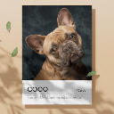 Retrato Personalizado de tu Mascota en vinilo con texto ejemplo